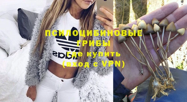 винт Белоозёрский