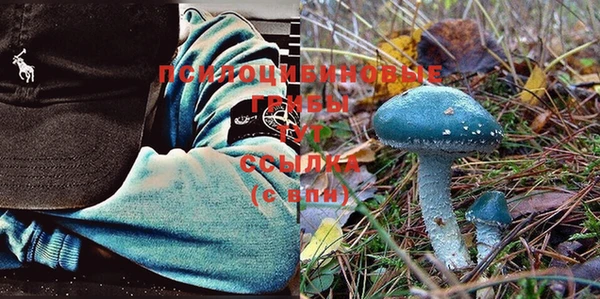 винт Белоозёрский