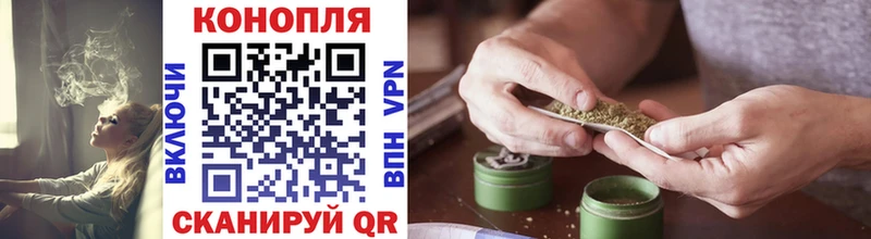дарнет шоп  Кузнецк  Бошки Шишки сатива 